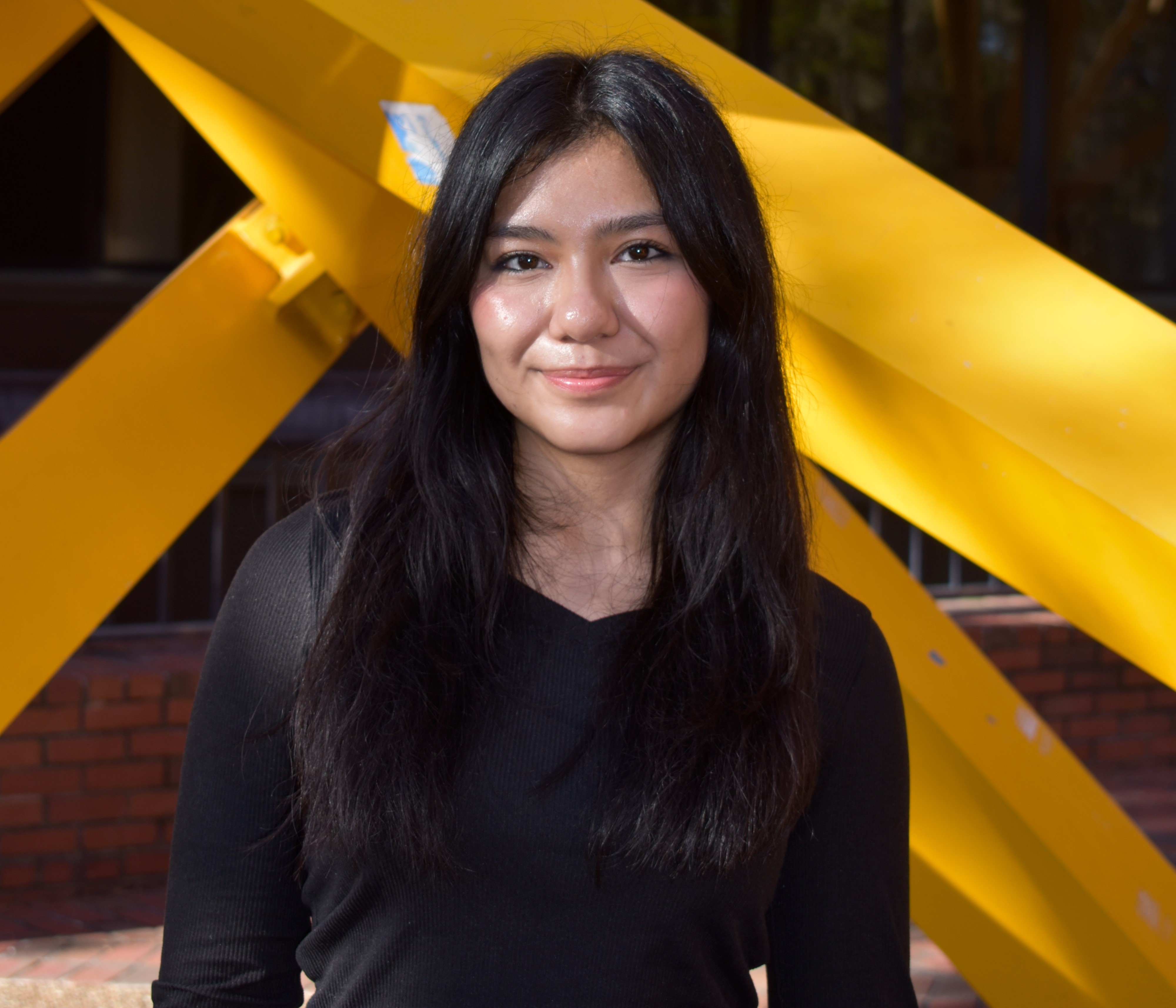 team member: Nicole Franco